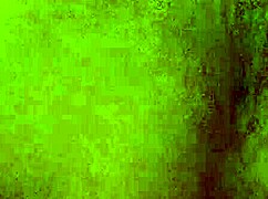 Anal dildo fun leads to cum with toys