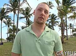 gay dudes get sexy and fuck around in a casual story