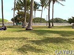 gay dudes get sexy and fuck around in a casual story