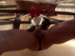 i'm tied up sucking laura's big cock with lots of drooling.