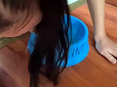 pigtailed slut, wanna lap up my piss?