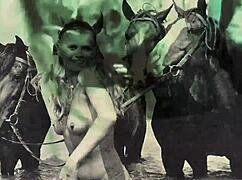 Dark lantern entertainment presents a vintage hairy beaver tale