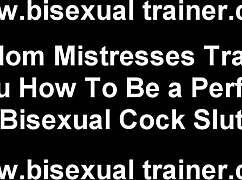 i need you to submit as my bisexual sissy slave in femdom bdsm