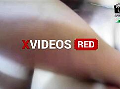 hey professor badarosca fucks hot ebony college student in doggystyle sucking tits