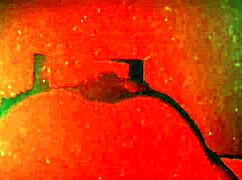 Fine ass twerking hard on the dance floor