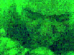 Hotel room sees gay amateurs diving into oral pleasures.