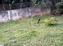 vagninho and anny fernandez delight in outdoor sex with anal and pussy play