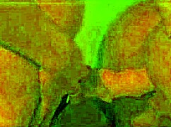 Lesbian threesome licks and uses strap-ons wildly!