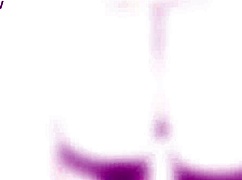 lauren phillips takes it balls deep in her ass, swallowing cum after gaping.