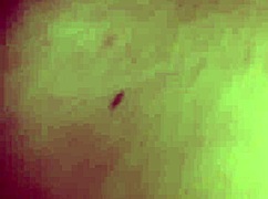 lexi laux chats with a fan and gets naughty in a group swing 😏