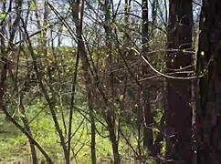 Went for a walk on the river and played with my wife's tits and pussy 😏