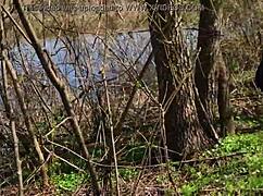 Went for a walk on the river and played with my wife's tits and pussy 😏