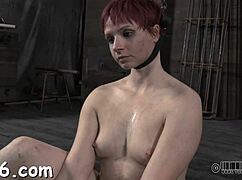 discover free sadomasochism websites for bondage and hardcore content