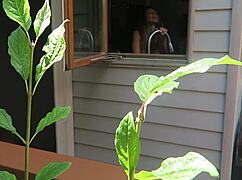 Nikki, you're getting fucked doggystyle with those tits bouncing