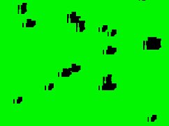 ebony african slut bent over for big black cock