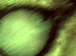 I fucked her doggy style, her pussy was so juicy!