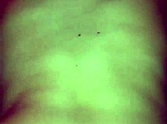 i fuck my girlfriend doggystyle, pounding her ass