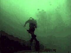 i love sucking that monster hairy cock in vintage retro style