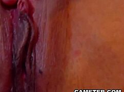 i'm a brunette in lingerie stripteasing and fingering my pussy solo on webcam