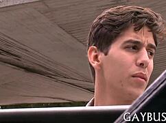 homo sex websites offer gay encounters