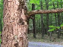 Nadia White: 'I'll suck Don's thick cock, want to see?'