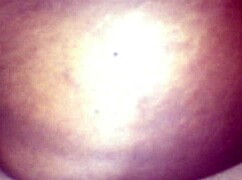 Intense anal fucking action with deep ass penetration right here!