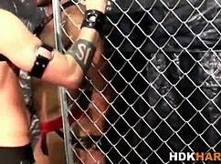 kinky gay stud gets his tight ass railed hard by muscular buddy in wild session