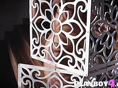 i'm lindsay marie, petite blonde model with small tits, stripping in hot lingerie and getting clothes ripped for sex