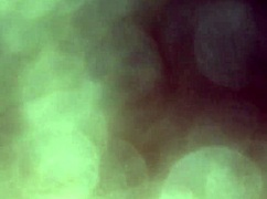 big booty eva leaves her ass and pussy for doggystyle fuck doll