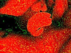 The white bbw expertly sucks for the cum