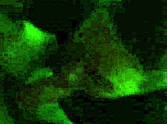 Sexy Blonde Surf Chick Sucks Big Cock Deep! 😍