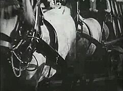 My Secret Life: Two Centuries Of Vintage Pornography