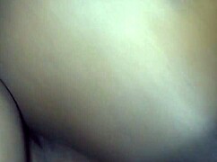 Louisville Amateur Showcases Impressive Local Talent