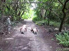 Army Gay Boys Sex A Naughty Teaching Day Ends With Wild Sex