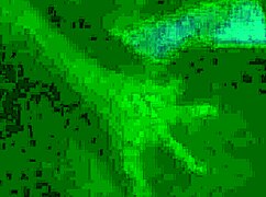 Thick ebony, bend over for that doggystyle