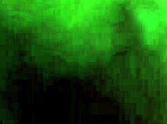 Our Recovered Amateur Video with Fun Moments