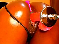 phat pussy pounded hard by thrusting dildo