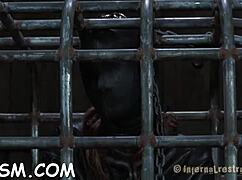 i am the sadomasochism slave in these movie scenes with ball licking and fucking