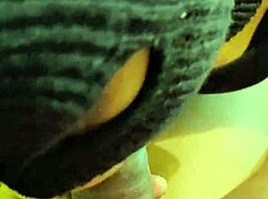 Homemade Asian Curvy Girl Sucks Big Cock Then Fucks On Bed