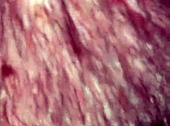 my step bro in law licks my pussy