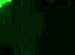 Favorite white woman sucks my dick in blowjob session