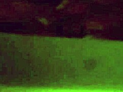 Making my peruvian whore squeal until she farts