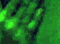 vivthomas - felicia kiss and mona kim lick pussy.