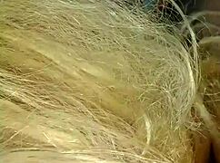 loira gostosa gets pounded by her professor