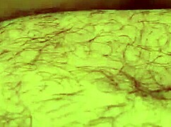 Fat BBW Teen Bent Over In Doggy POV Fuck