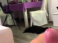 venezuelan goddess slurps my dick in wet homemade action