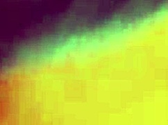 Hung tranny fucking bareback?