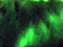 Rapaz Forte Coloca Puta Cuzuda Para Mamar