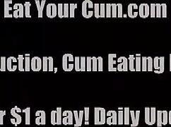 public instruction on humiliation and liquid lunch in bdsm