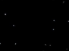 Two Centuries Of Vintage Pornography